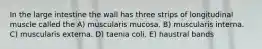 In the large intestine the wall has three strips of longitudinal muscle called the A) muscularis mucosa. B) muscularis interna. C) muscularis externa. D) taenia coli. E) haustral bands