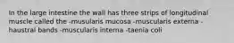 In the large intestine the wall has three strips of longitudinal muscle called the -musularis mucosa -muscularis externa -haustral bands -muscularis interna -taenia coli