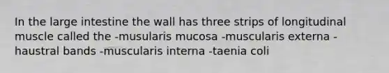 In the <a href='https://www.questionai.com/knowledge/kGQjby07OK-large-intestine' class='anchor-knowledge'>large intestine</a> the wall has three strips of longitudinal muscle called the -musularis mucosa -muscularis externa -haustral bands -muscularis interna -taenia coli