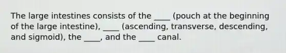 The large intestines consists of the ____ (pouch at the beginning of the large intestine), ____ (ascending, transverse, descending, and sigmoid), the ____, and the ____ canal.