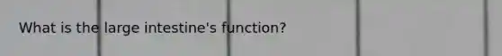 What is the large intestine's function?