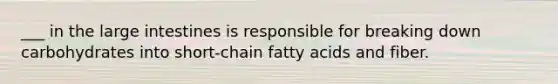 ___ in the large intestines is responsible for breaking down carbohydrates into short-chain fatty acids and fiber.