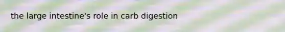 the large intestine's role in carb digestion