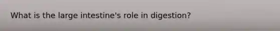 What is the large intestine's role in digestion?