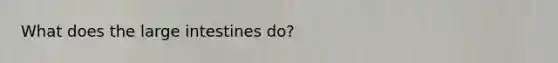 What does the large intestines do?