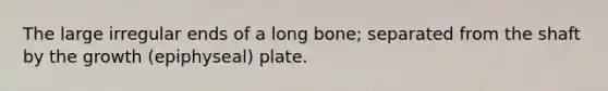 The large irregular ends of a long bone; separated from the shaft by the growth (epiphyseal) plate.