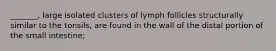 _______, large isolated clusters of lymph follicles structurally similar to the tonsils, are found in the wall of the distal portion of the small intestine;