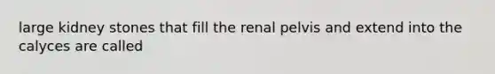 large kidney stones that fill the renal pelvis and extend into the calyces are called