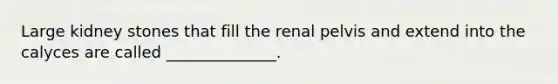 Large kidney stones that fill the renal pelvis and extend into the calyces are called ______________.