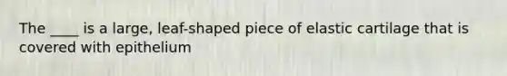 The ____ is a large, leaf-shaped piece of elastic cartilage that is covered with epithelium
