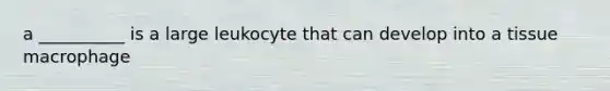 a __________ is a large leukocyte that can develop into a tissue macrophage