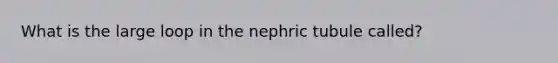 What is the large loop in the nephric tubule called?