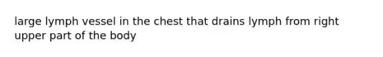 large lymph vessel in the chest that drains lymph from right upper part of the body