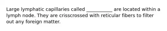 Large lymphatic capillaries called ___________ are located within a lymph node. They are crisscrossed with reticular fibers to filter out any foreign matter.