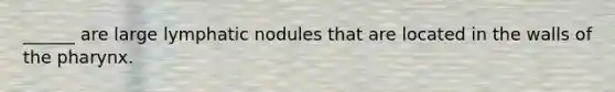______ are large lymphatic nodules that are located in the walls of the pharynx.