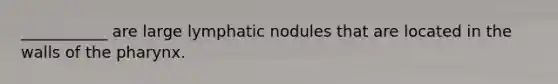 ___________ are large lymphatic nodules that are located in the walls of the pharynx.