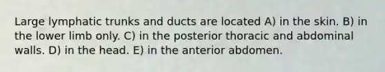 Large lymphatic trunks and ducts are located A) in the skin. B) in the <a href='https://www.questionai.com/knowledge/kF4ILRdZqC-lower-limb' class='anchor-knowledge'>lower limb</a> only. C) in the posterior thoracic and abdominal walls. D) in the head. E) in the anterior abdomen.