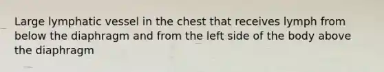 Large lymphatic vessel in the chest that receives lymph from below the diaphragm and from the left side of the body above the diaphragm