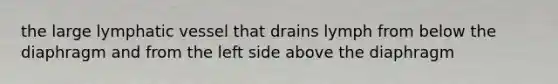 the large lymphatic vessel that drains lymph from below the diaphragm and from the left side above the diaphragm