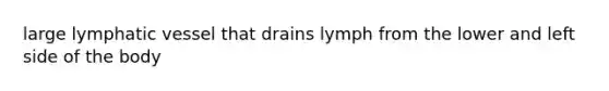 large lymphatic vessel that drains lymph from the lower and left side of the body