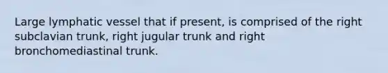 Large lymphatic vessel that if present, is comprised of the right subclavian trunk, right jugular trunk and right bronchomediastinal trunk.