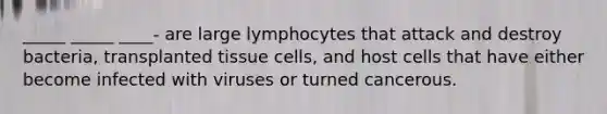 _____ _____ ____- are large lymphocytes that attack and destroy bacteria, transplanted tissue cells, and host cells that have either become infected with viruses or turned cancerous.