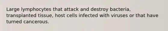 Large lymphocytes that attack and destroy bacteria, transplanted tissue, host cells infected with viruses or that have turned cancerous.