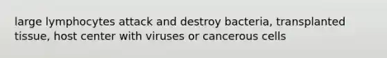 large lymphocytes attack and destroy bacteria, transplanted tissue, host center with viruses or cancerous cells