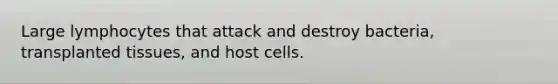 Large lymphocytes that attack and destroy bacteria, transplanted tissues, and host cells.