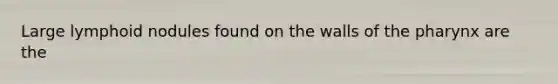 Large lymphoid nodules found on the walls of <a href='https://www.questionai.com/knowledge/ktW97n6hGJ-the-pharynx' class='anchor-knowledge'>the pharynx</a> are the