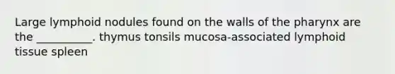 Large lymphoid nodules found on the walls of the pharynx are the __________. thymus tonsils mucosa-associated lymphoid tissue spleen