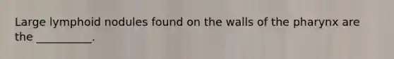 Large lymphoid nodules found on the walls of <a href='https://www.questionai.com/knowledge/ktW97n6hGJ-the-pharynx' class='anchor-knowledge'>the pharynx</a> are the __________.