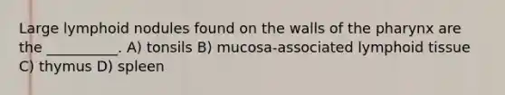 Large lymphoid nodules found on the walls of <a href='https://www.questionai.com/knowledge/ktW97n6hGJ-the-pharynx' class='anchor-knowledge'>the pharynx</a> are the __________. A) tonsils B) mucosa-associated lymphoid tissue C) thymus D) spleen