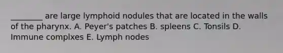 ________ are large lymphoid nodules that are located in the walls of the pharynx. A. Peyer's patches B. spleens C. Tonsils D. Immune complxes E. Lymph nodes