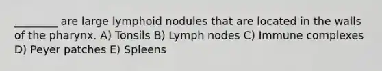 ________ are large lymphoid nodules that are located in the walls of the pharynx. A) Tonsils B) Lymph nodes C) Immune complexes D) Peyer patches E) Spleens