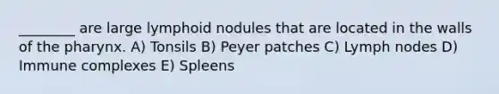 ________ are large lymphoid nodules that are located in the walls of <a href='https://www.questionai.com/knowledge/ktW97n6hGJ-the-pharynx' class='anchor-knowledge'>the pharynx</a>. A) Tonsils B) Peyer patches C) Lymph nodes D) Immune complexes E) Spleens