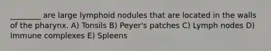 ________ are large lymphoid nodules that are located in the walls of the pharynx. A) Tonsils B) Peyer's patches C) Lymph nodes D) Immune complexes E) Spleens