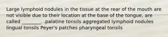 Large lymphoid nodules in the tissue at the rear of the mouth are not visible due to their location at the base of the tongue, are called ________. .palatine tonsils aggregated lymphoid nodules lingual tonsils Peyer's patches pharyngeal tonsils