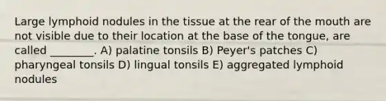 Large lymphoid nodules in the tissue at the rear of <a href='https://www.questionai.com/knowledge/krBoWYDU6j-the-mouth' class='anchor-knowledge'>the mouth</a> are not visible due to their location at the base of the tongue, are called ________. A) palatine tonsils B) Peyer's patches C) pharyngeal tonsils D) lingual tonsils E) aggregated lymphoid nodules