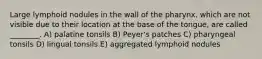 Large lymphoid nodules in the wall of the pharynx, which are not visible due to their location at the base of the tongue, are called ________. A) palatine tonsils B) Peyer's patches C) pharyngeal tonsils D) lingual tonsils E) aggregated lymphoid nodules
