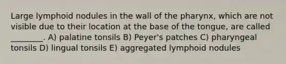 Large lymphoid nodules in the wall of the pharynx, which are not visible due to their location at the base of the tongue, are called ________. A) palatine tonsils B) Peyer's patches C) pharyngeal tonsils D) lingual tonsils E) aggregated lymphoid nodules