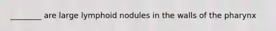 ________ are large lymphoid nodules in the walls of the pharynx
