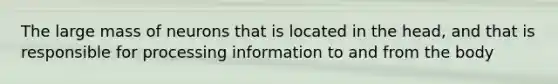 The large mass of neurons that is located in the head, and that is responsible for processing information to and from the body