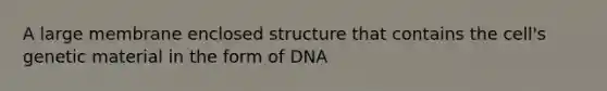 A large membrane enclosed structure that contains the cell's genetic material in the form of DNA