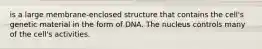 is a large membrane-enclosed structure that contains the cell's genetic material in the form of DNA. The nucleus controls many of the cell's activities.