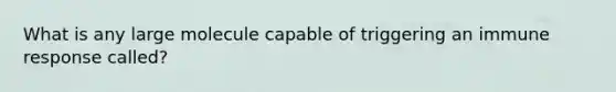 What is any large molecule capable of triggering an immune response called?