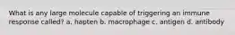 What is any large molecule capable of triggering an immune response called? a. hapten b. macrophage c. antigen d. antibody