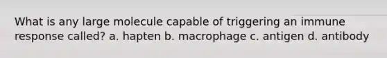 What is any large molecule capable of triggering an immune response called? a. hapten b. macrophage c. antigen d. antibody