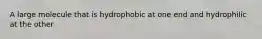 A large molecule that is hydrophobic at one end and hydrophilic at the other