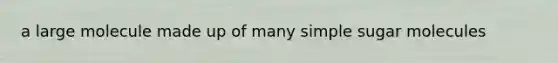 a large molecule made up of many simple sugar molecules